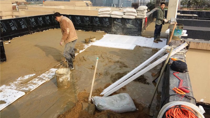 JS防水涂料与聚氨酯防水涂料：揭秘二者的差异与应用